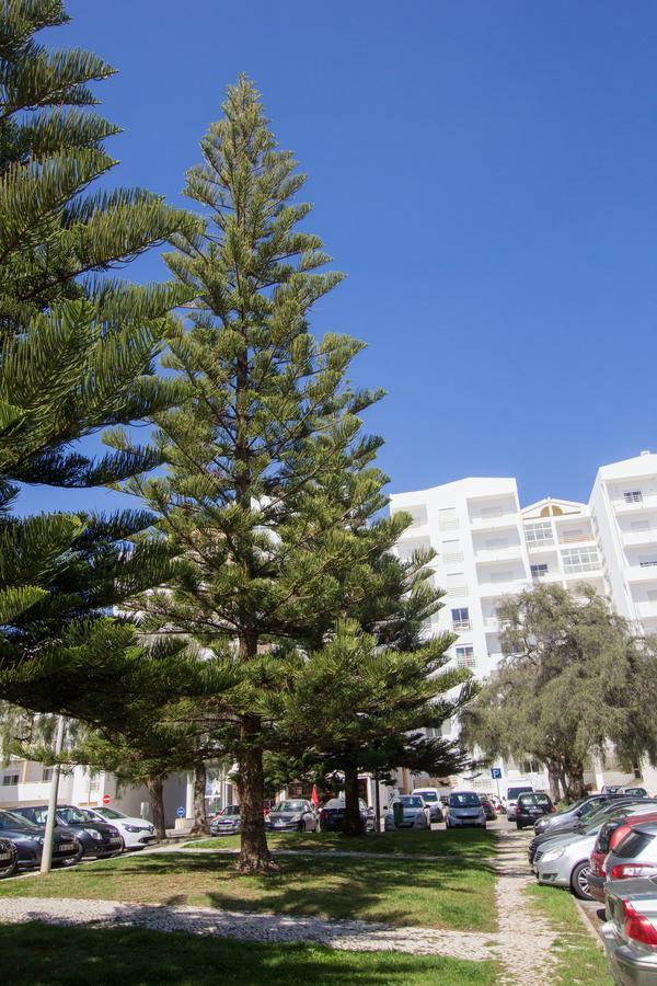 Casa Da Praia Lagos Kültér fotó